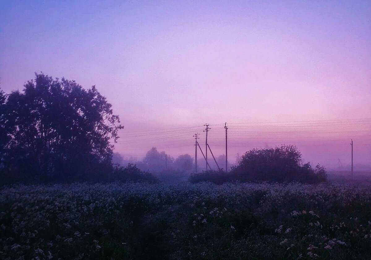 鹈鹕重点关注锡安健康状况 亚当斯将成最佳搭档